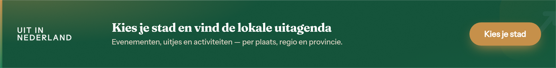 Uit in Nederland — kies je stad en vind de lokale uitagenda